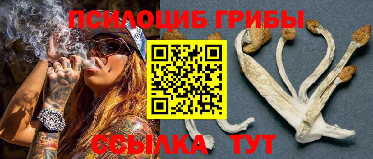 Псилоцибиновые грибы MAGIC MUSHROOMS Иваново