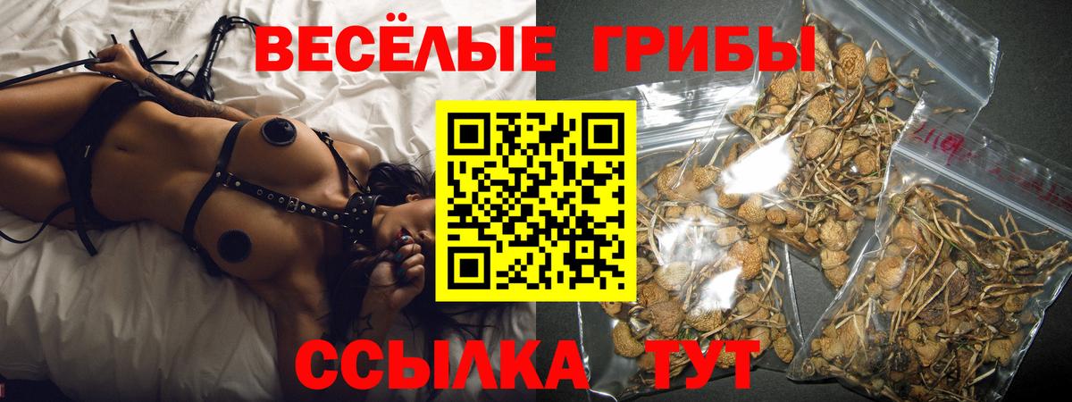 Галлюциногенные грибы ЛСД  Галлюциногенные грибы GOLDEN TEACHER  Иваново  купить наркоту  Вход с VPN 